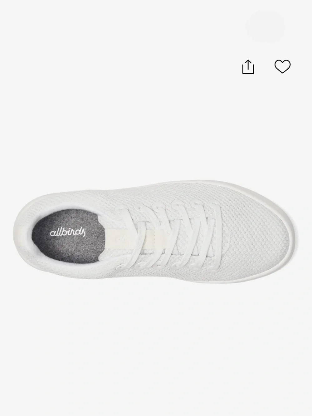 Allbirds Cruiser sneakers